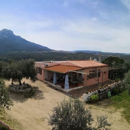 Villa L'Oleandro Oliena Exterior foto