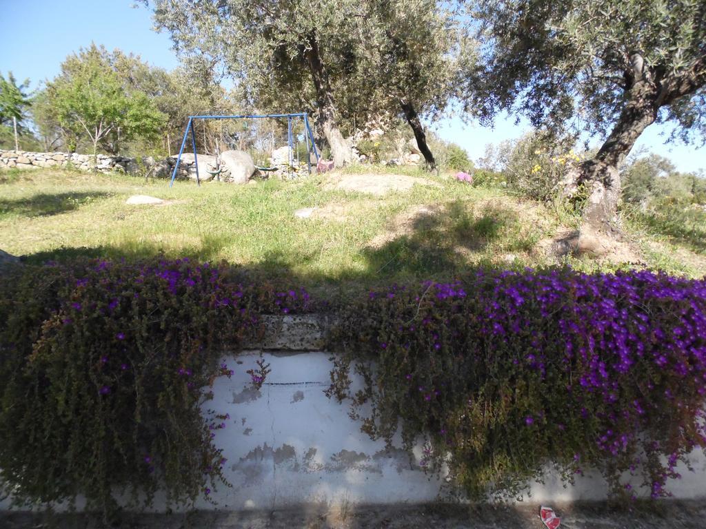 Villa L'Oleandro Oliena Exterior foto