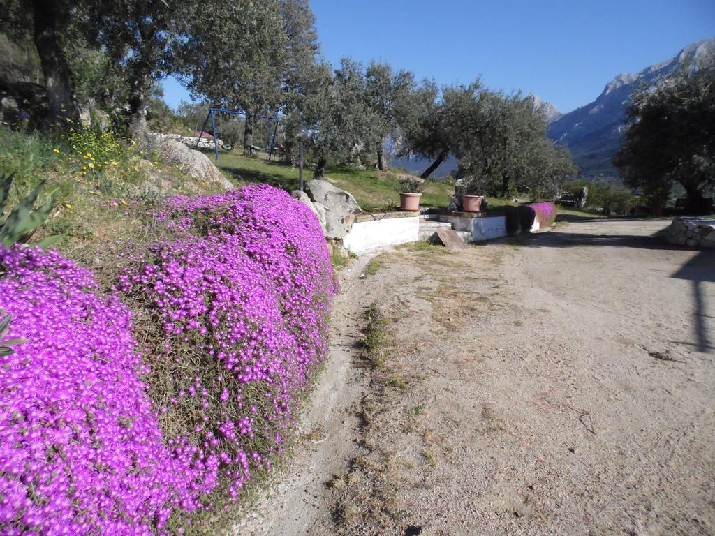 Villa L'Oleandro Oliena Exterior foto
