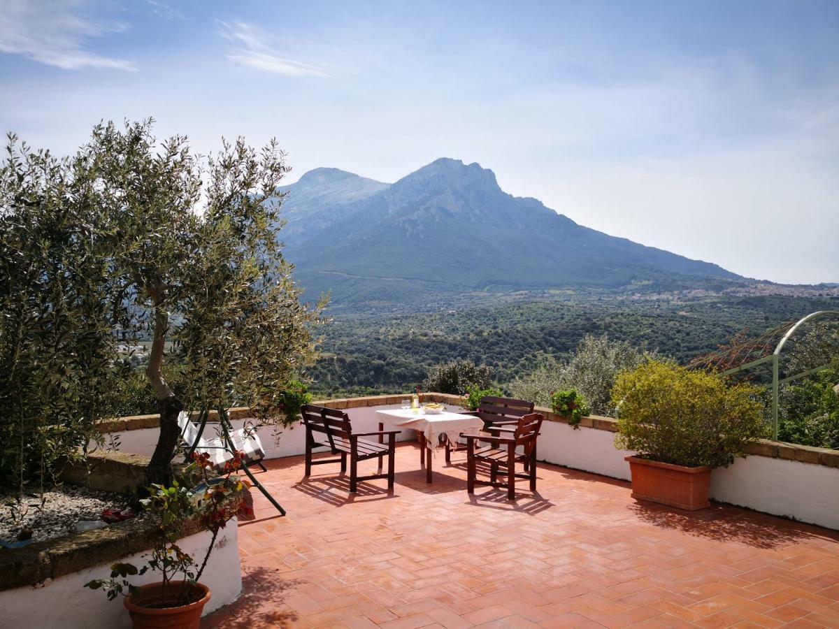Villa L'Oleandro Oliena Exterior foto