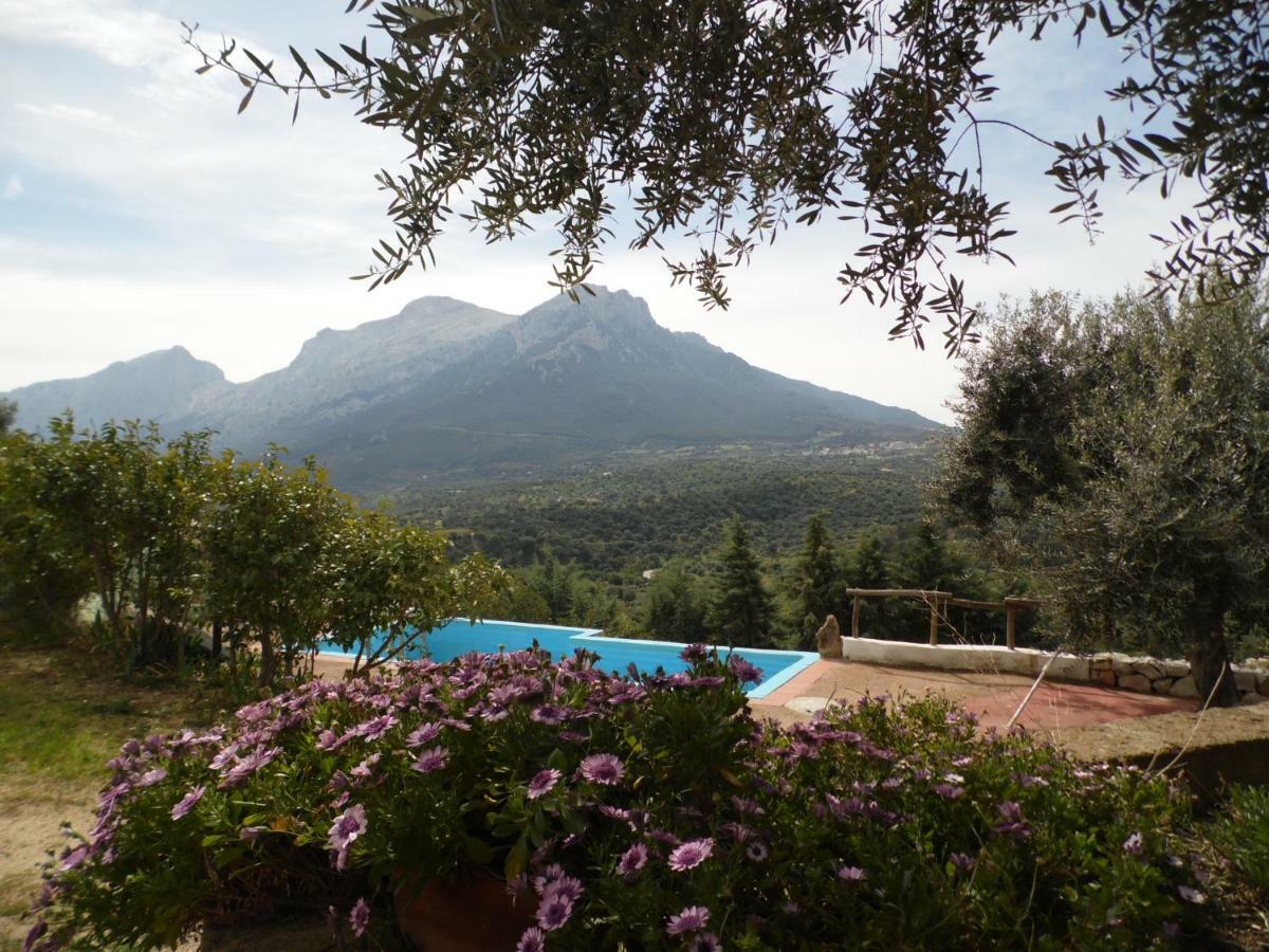Villa L'Oleandro Oliena Exterior foto
