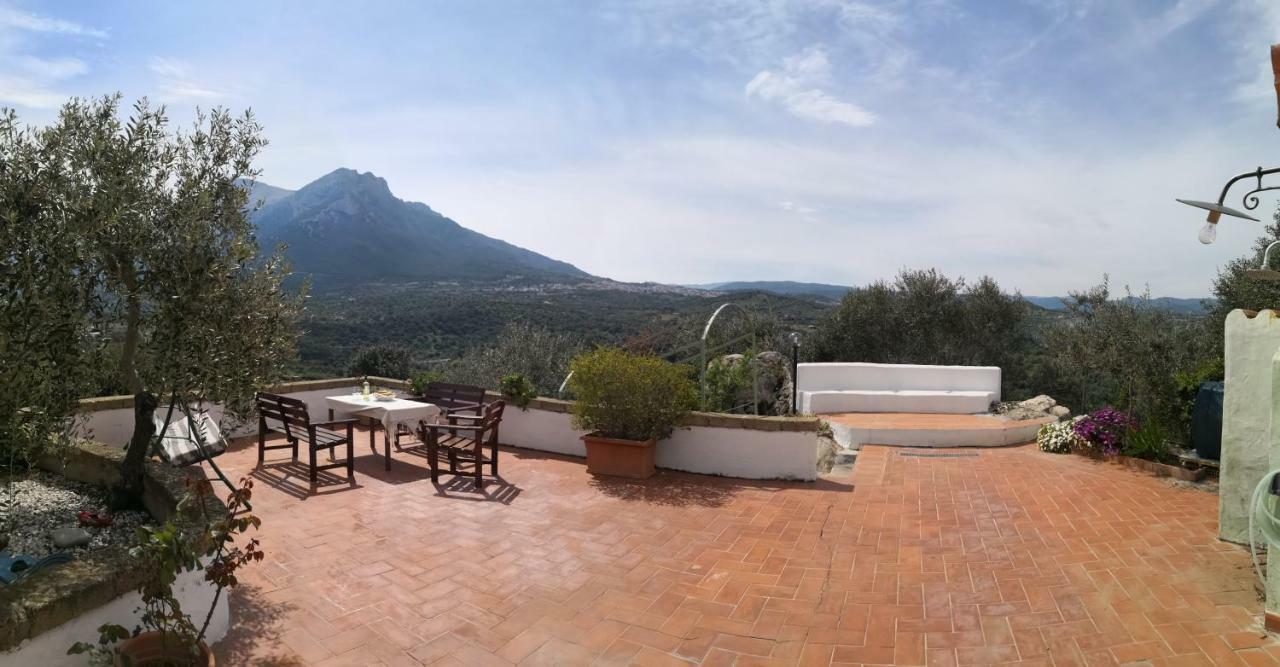 Villa L'Oleandro Oliena Exterior foto