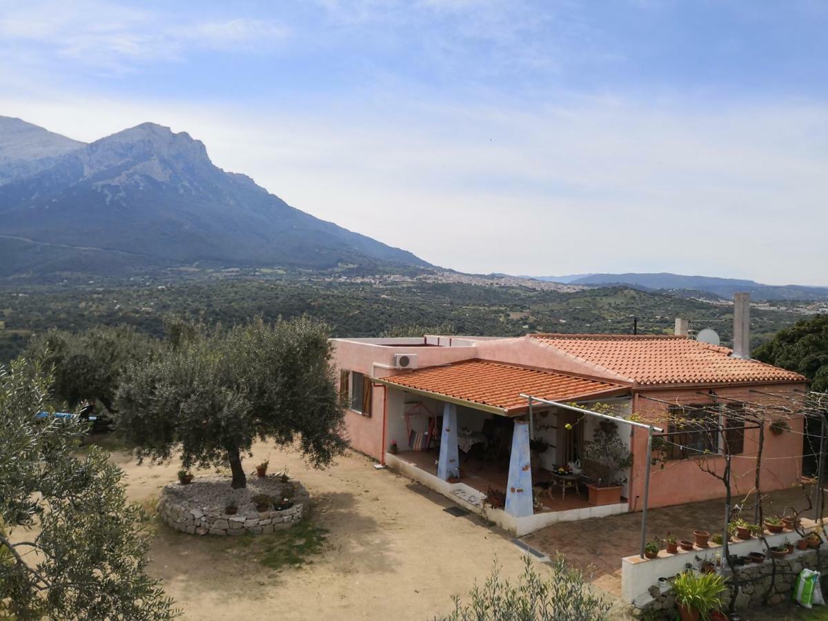 Villa L'Oleandro Oliena Exterior foto