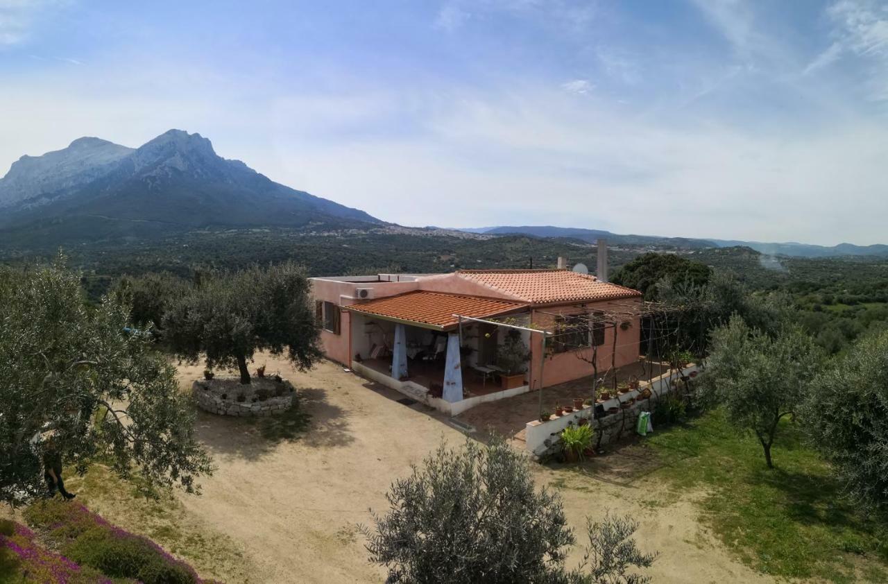 Villa L'Oleandro Oliena Exterior foto