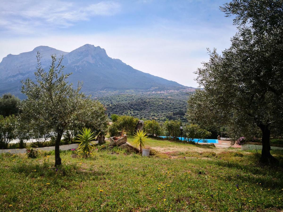 Villa L'Oleandro Oliena Exterior foto